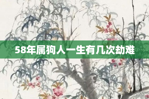58年属狗人一生有几次劫难