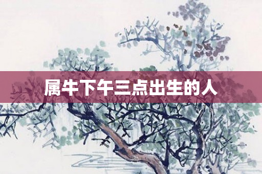 属牛下午三点出生的人