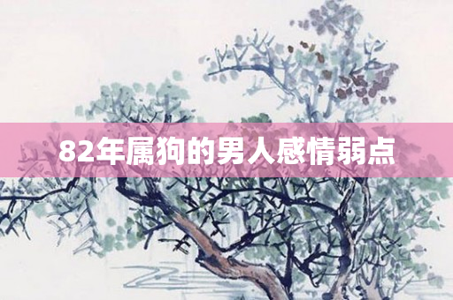 82年属狗的男人感情弱点