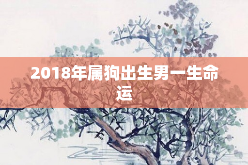 2018年属狗出生男一生命运