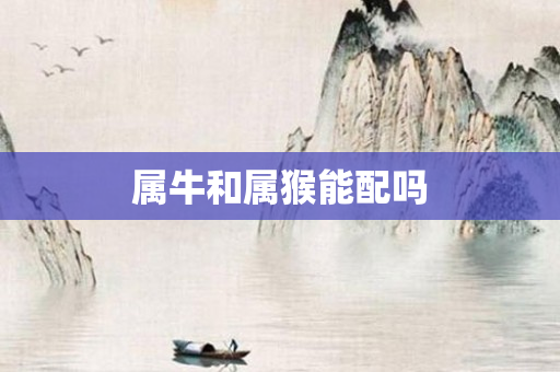 属牛和属猴能配吗