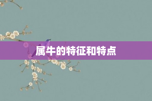 属牛的特征和特点