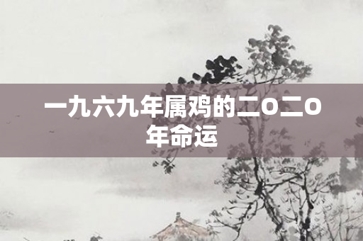 一九六九年属鸡的二O二O年命运