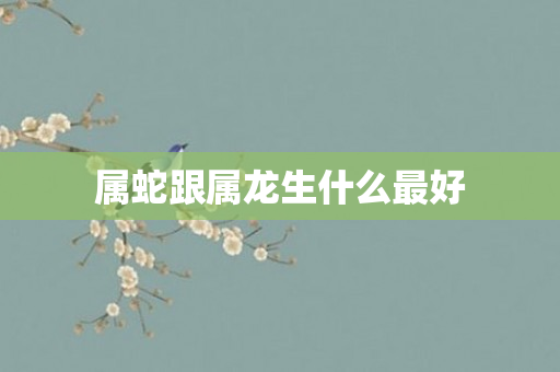 属蛇跟属龙生什么更好