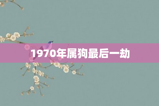 1970年属狗最后一劫