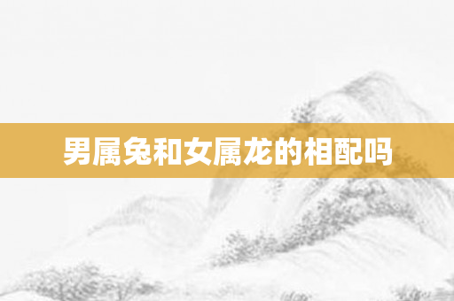 男属兔和女属龙的相配吗