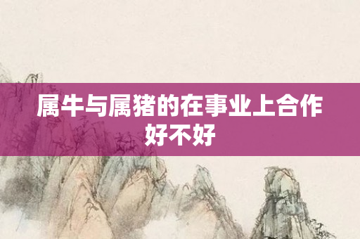 属牛与属猪的在事业上合作好不好