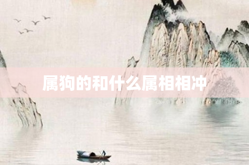 属狗的和什么属相相冲
