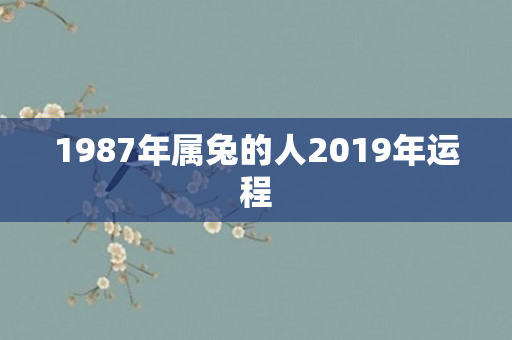 1987年属兔的人2019年运程