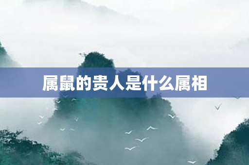 属鼠的贵人是什么属相