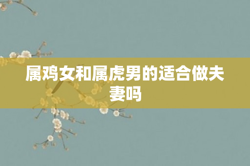属鸡女和属虎男的适合做夫妻吗