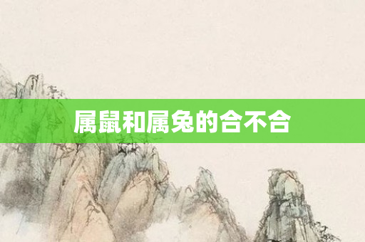 属鼠和属兔的合不合