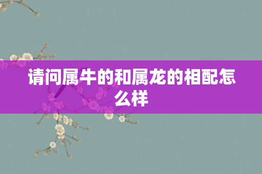 请问属牛的和属龙的相配怎么样