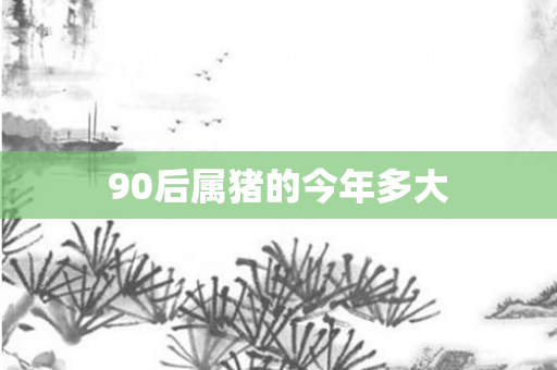 90后属猪的今年多大