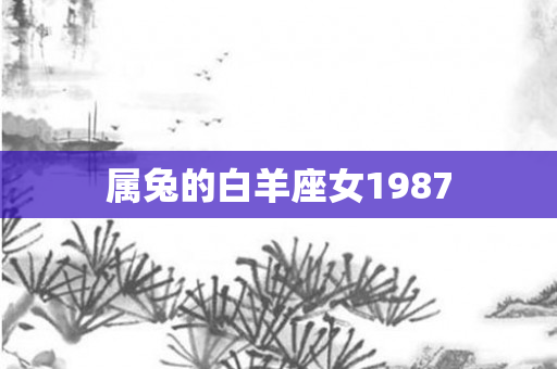属兔的白羊座女1987