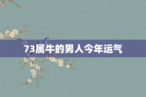 73属牛的男人今年运气