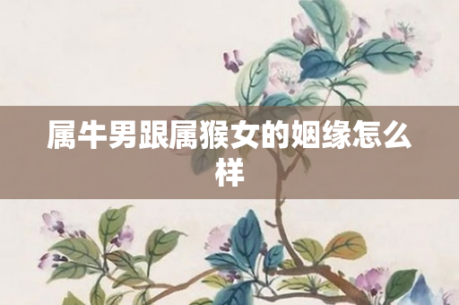 属牛男跟属猴女的姻缘怎么样