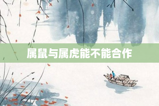 属鼠与属虎能不能合作