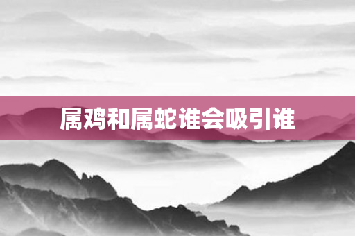属鸡和属蛇谁会吸引谁
