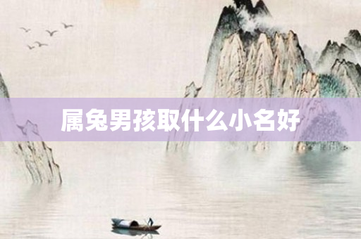 属兔男孩取什么小名好