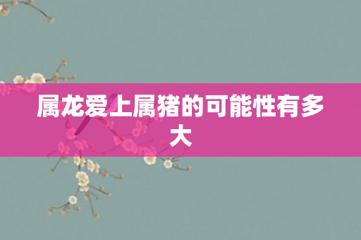 属龙爱上属猪的可能性有多大