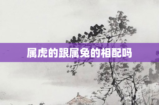 属虎的跟属兔的相配吗