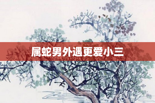 属蛇男外遇更爱小三