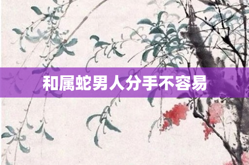 和属蛇男人分手不容易