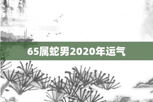 65属蛇男2020年运气