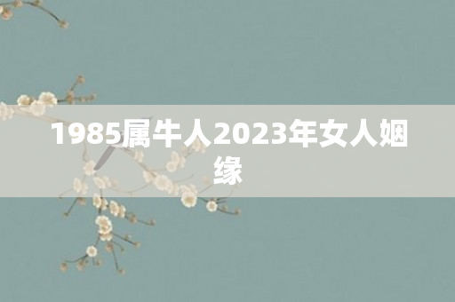 1985属牛人2023年女人姻缘