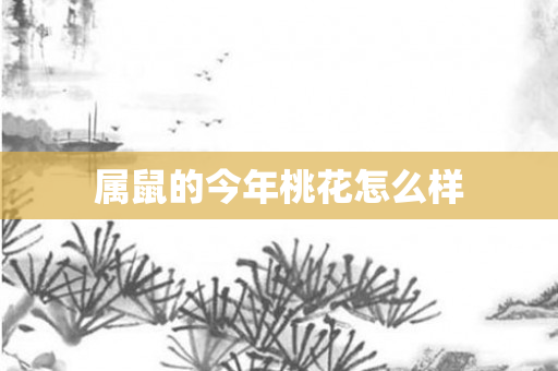 属鼠的今年桃花怎么样