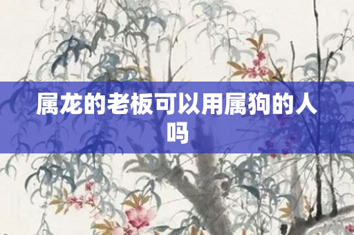 属龙的老板可以用属狗的人吗