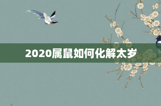 2020属鼠如何化解太岁