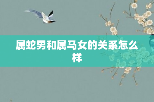 属蛇男和属马女的关系怎么样