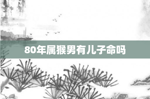 80年属猴男有儿子命吗