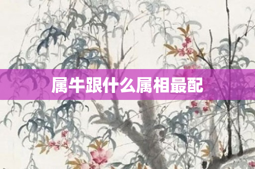 属牛跟什么属相最配
