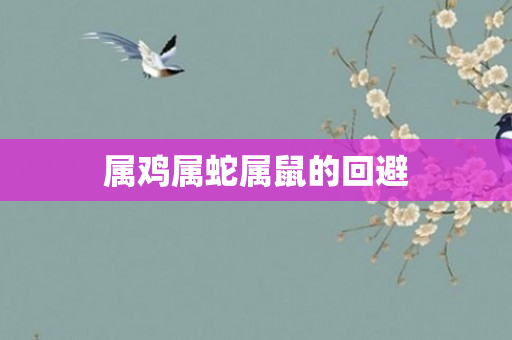 属鸡属蛇属鼠的回避