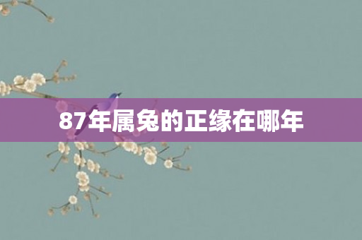 87年属兔的正缘在哪年