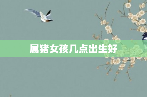 属猪女孩几点出生好