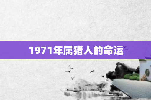 1971年属猪人的命运