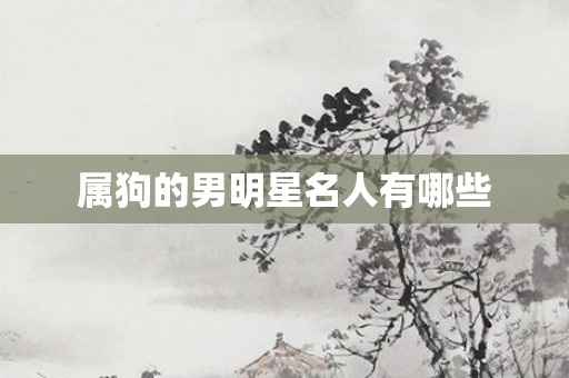 属狗的男明星名人有哪些