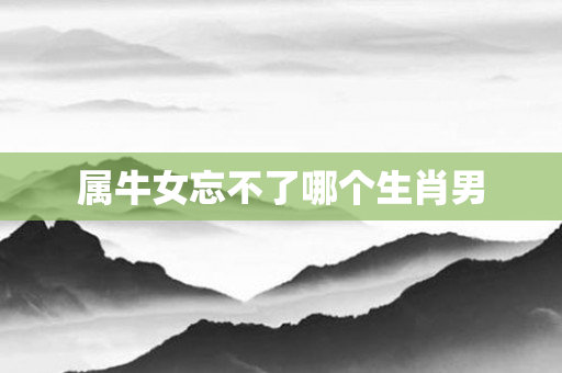 属牛女忘不了哪个生肖男