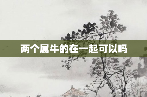 两个属牛的在一起可以吗
