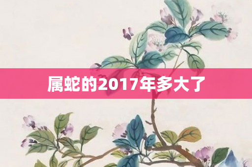 属蛇的2017年多大了