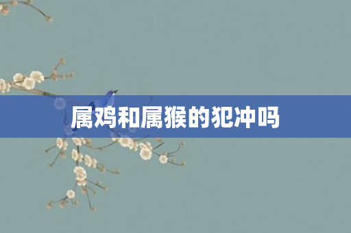 属鸡和属猴的犯冲吗