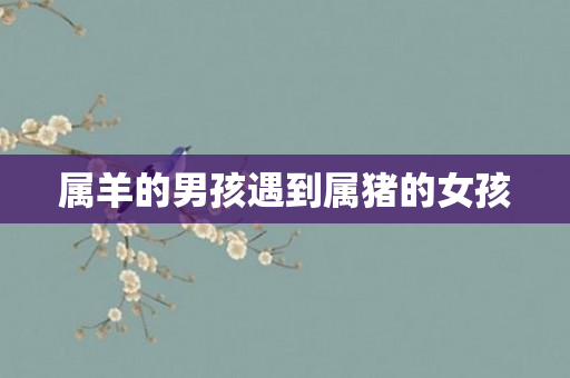 属羊的男孩遇到属猪的女孩