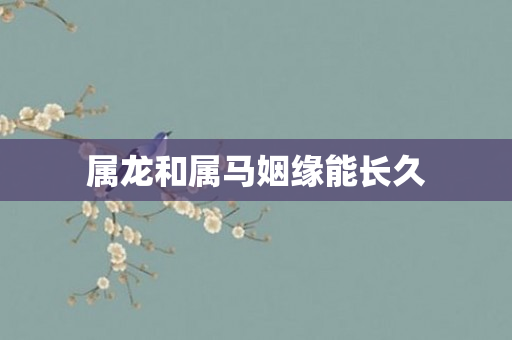 属龙和属马姻缘能长久