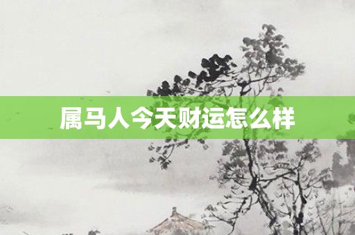 属马人今天财运怎么样