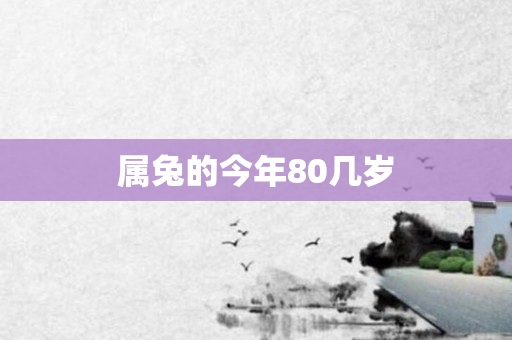 属兔的今年80几岁