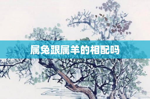 属兔跟属羊的相配吗